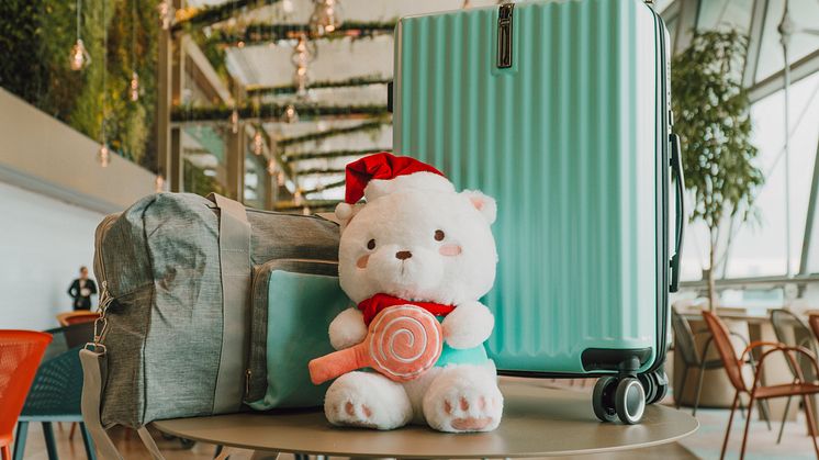 Changi Candy premiums - Teddy Bear, Travel Bag & Luggage