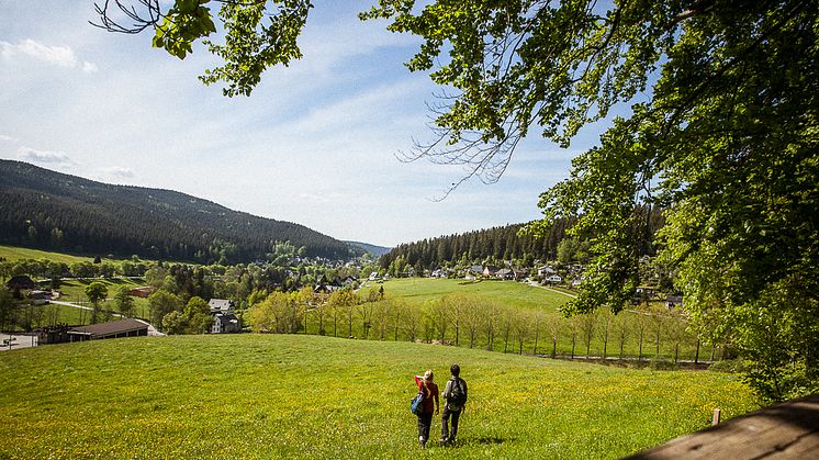 Wandern auf dem Kammweg Erzgebirge Vogtland_Foto TVE_Rene Gaens