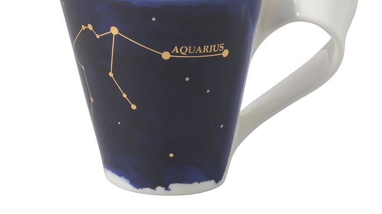 NewWave Stars Aquarius 