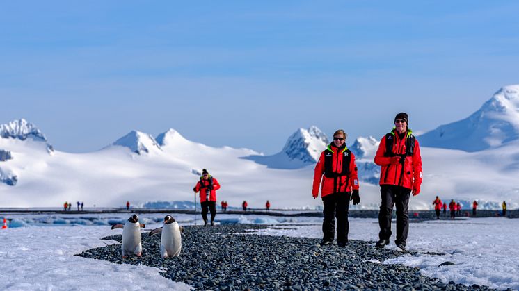Hurtigruten Expedition guests in Antarctica. Photo: Dan Avila