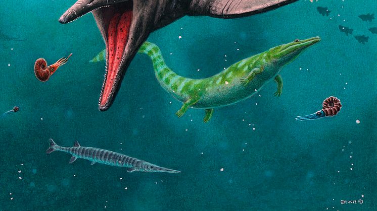 Reconstruction of earliest ichthyosaur 