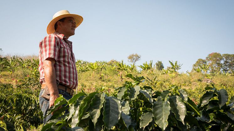 ​We remain committed to support smallholder coffee farmer families
