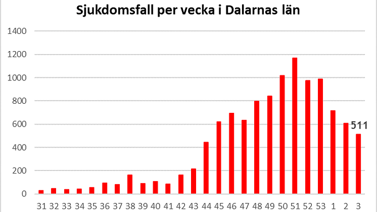 Länsstyrelsen informerar om läget i Dalarnas län 29 januari 2021