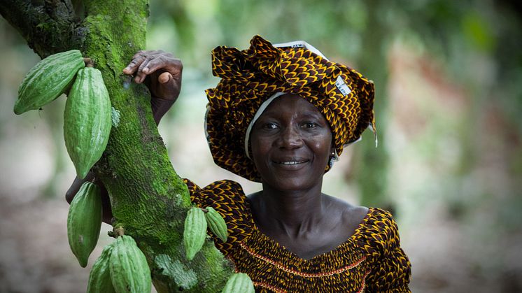 Kakaoodlaren Alphonsine N'Guetia på kooperativet Coopaza i Elfenbenskusten är en av dem som påverkas av Ben & Jerry's ökade betalning. Foto: Simon Rawles