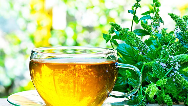 Herbs that can boost your mood and memory