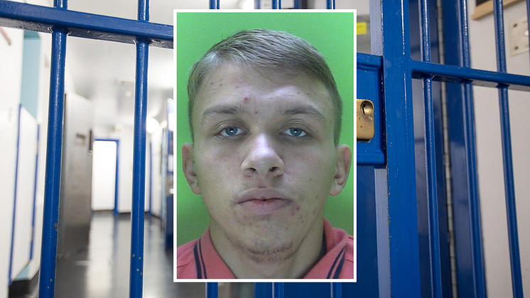 Joshua Whiteley, 22, jailed for 12 years and nine months