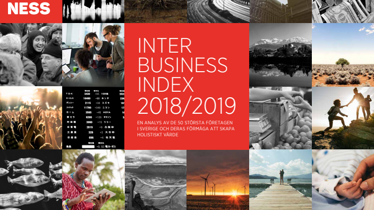 Inter Business Index 2018/2019