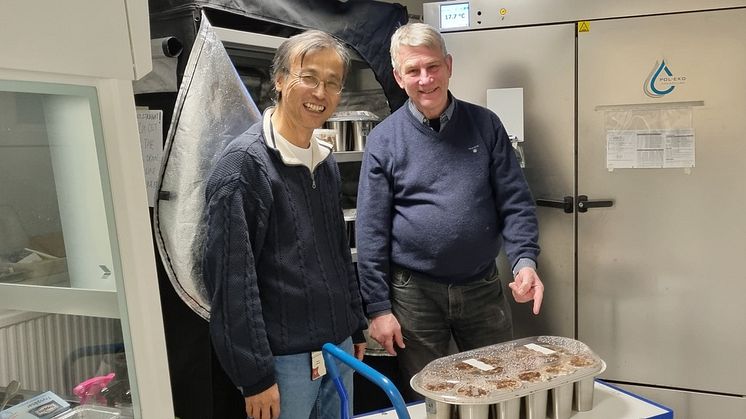 Shaojun Xiong och ﻿ Lars Atterhem, grundare av affärsidén 'Hållbar Svampoddling'.
