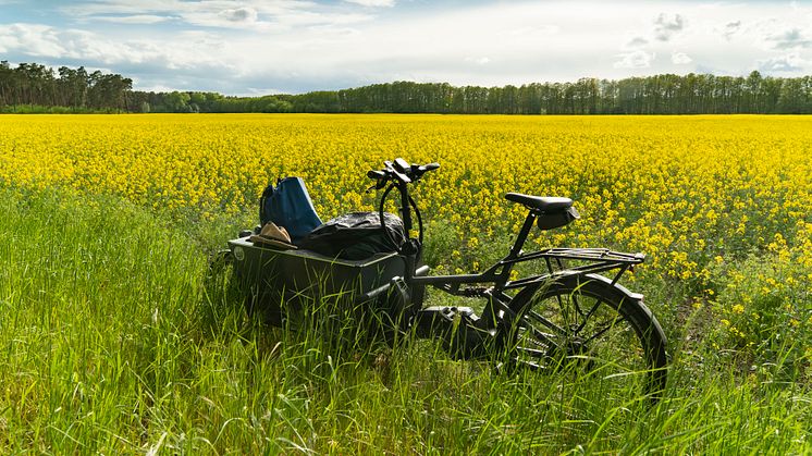 Der Pakesel unter den Fahrrädern: Mit dem E-Lastenrad zum mehrtägigen Radurlaub in Brandenburg. Foto: Cargobike Adventures.