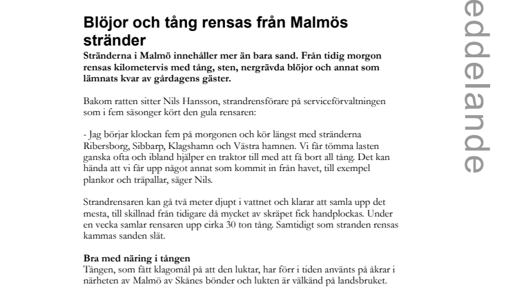 Blöjor och tång rensas från Malmös stränder