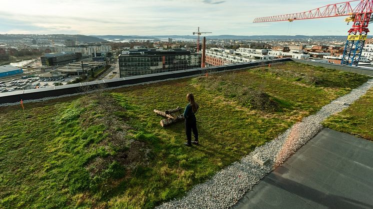 Ambisiøse utviklere bidrar til å utvikle byens økologi. Her fra taket på kontorbygget K5 på Hasle Linje. Foto: Max Emanuelson/AF Gruppen.