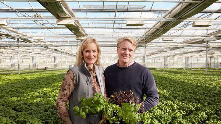 Anna och Daniel Bertland som i Kabbarp utanför Staffanstorp ska utveckla ett unikt skånskt besöksmål med inspirerande utställning av växthus och uterum.