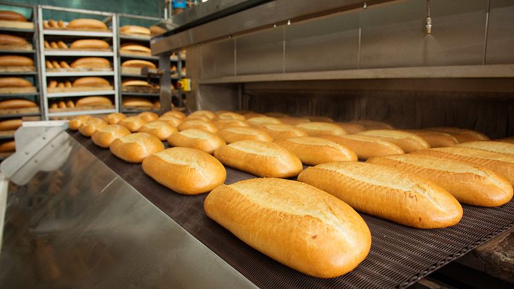 Livsmedelsindustri - brödtillverkning