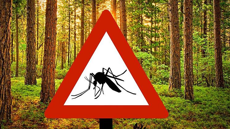 Varning för mygg!