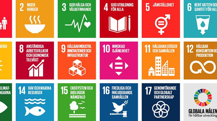 De globala målen för hållbar utveckling.