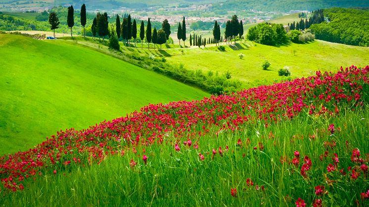 Toscana - ett klassiskt resmål för TEMA.