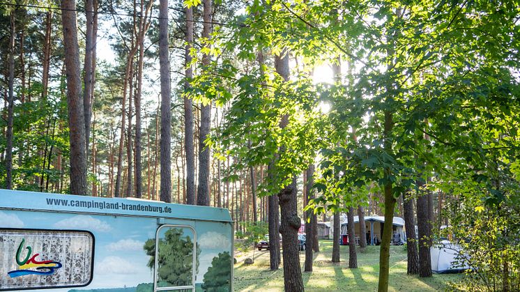 Für erholsamen und naturnahen Campingurlaub ist man in Brandenburg an der richtigen Adresse. Foto: TMB-Fotoarchiv/Steffen Lehmann. 