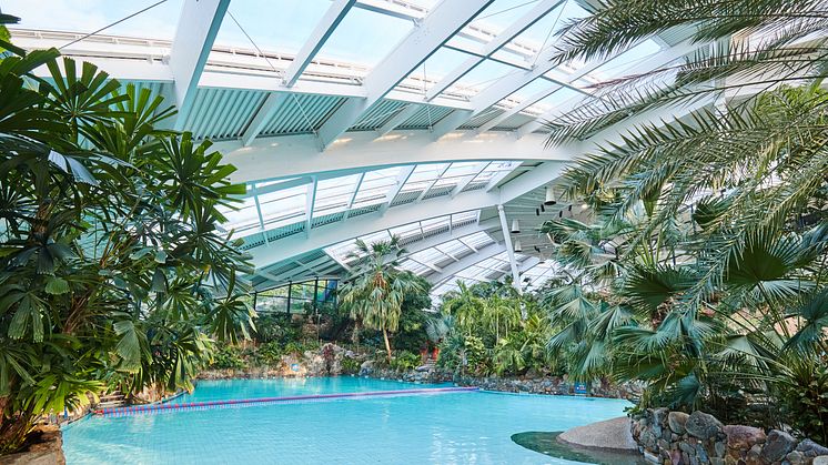 The Subtropical Swimming Paradise at Center Parcs Longleat Forest