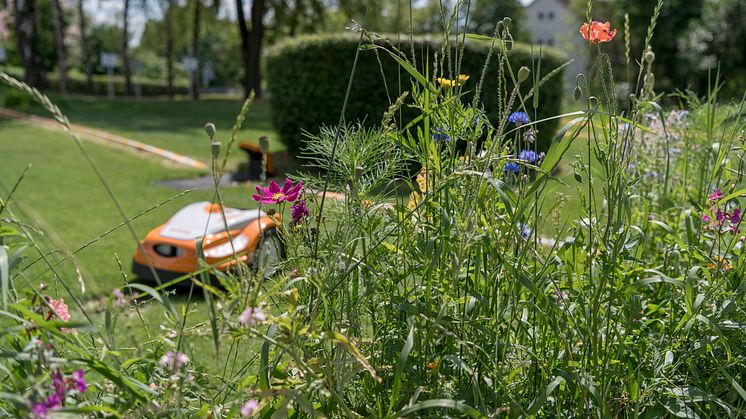 University of Hohenheimin yhdessä STIHL yrityksen kanssa tekemässä tutkimuksessa tutkittiin erilaisten leikkuumenetelmien vaikutuksia nurmikon elinympäristön biologiseen monimuotoisuuteen kesällä 2020.