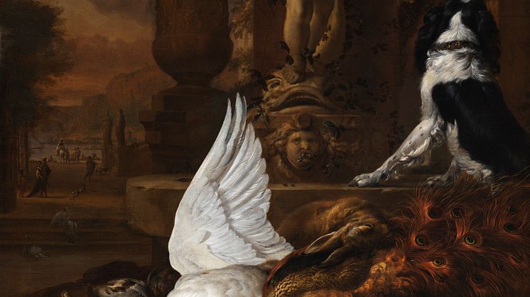 Jan Weenix, Still life with a dead swan, a peacock and a dog next to a fountain, 1684.Photo: Anna Danielsson/Nationalmuseum.