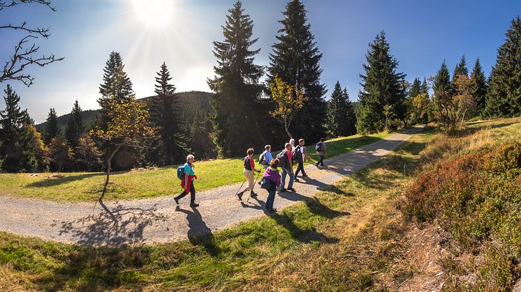 Wandergruppe unterwegs im Erzgebirge (Foto: TVE/Uwe Meinhold)