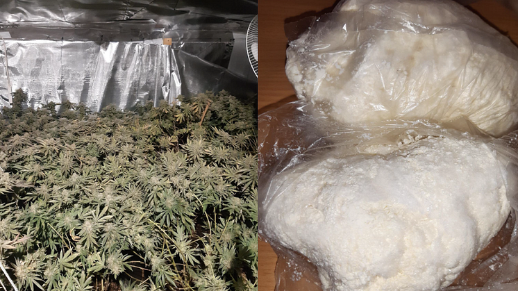 Police close down large cannabis and amphetamine operation in Mansfield