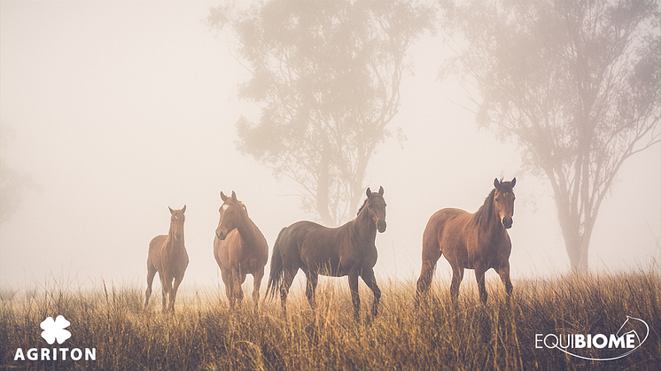 Equibiome – naturliga produkter för häst, stall och betesmark