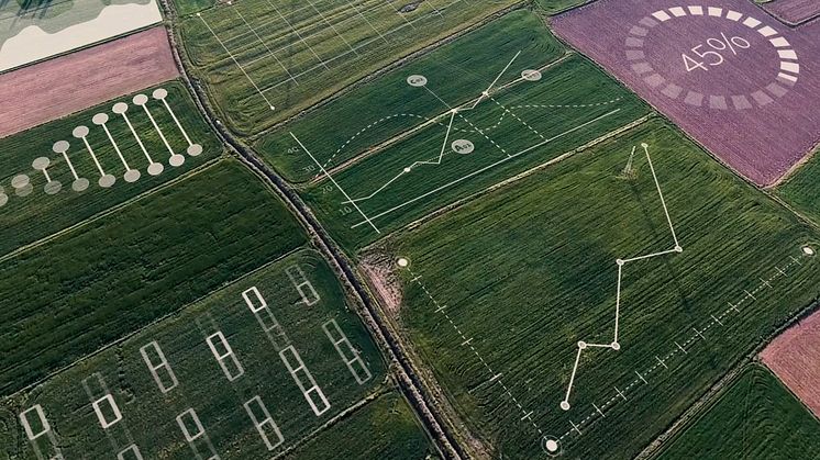 Yara og IBM kombinerer agronomikunnskap og ny teknologi for å utvikle verdens ledende globale digitale landbruksplattform (foto: Yara)