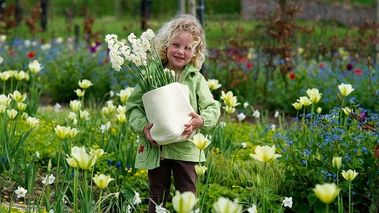 Skolbarn planterar blomsterlökar
