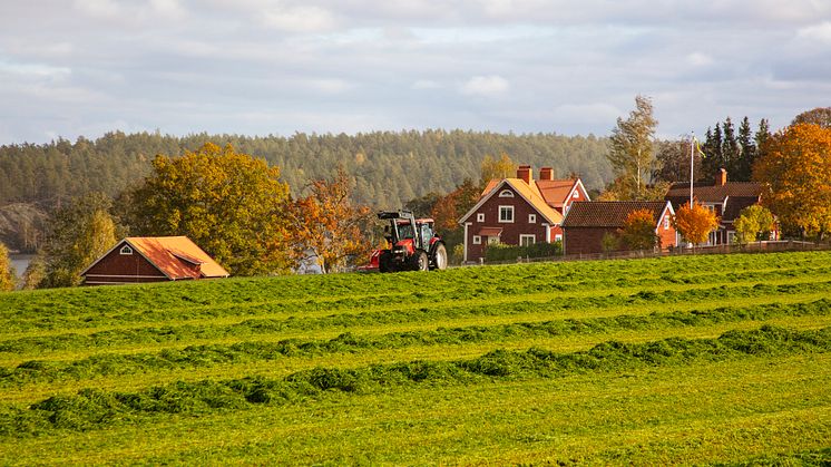 Ny rådgivning ska göra svenskt lantbruk mer hållbart