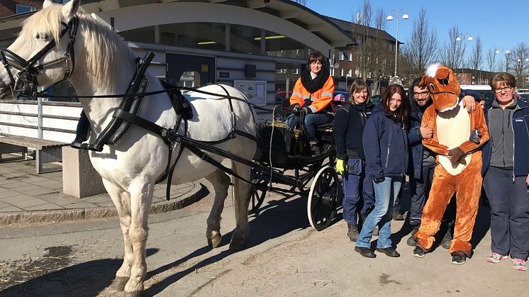 Hästen Groms tillsammans med skötare och Bostadsbolagets personal. Medverkar gör även den klappvänliga hästen Broms.