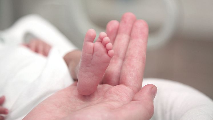 Gemeinsam für die Allerkleinsten: dm kooperiert mit dem Bundesverband "Das frühgeborene Kind" e. V. 