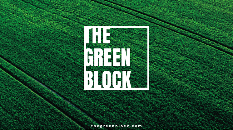 Crypto Oasis Ventures and Roland Berger officially launch “The Green Block” – a think tank and launchpad for sustainability focused Web3 and AI technology