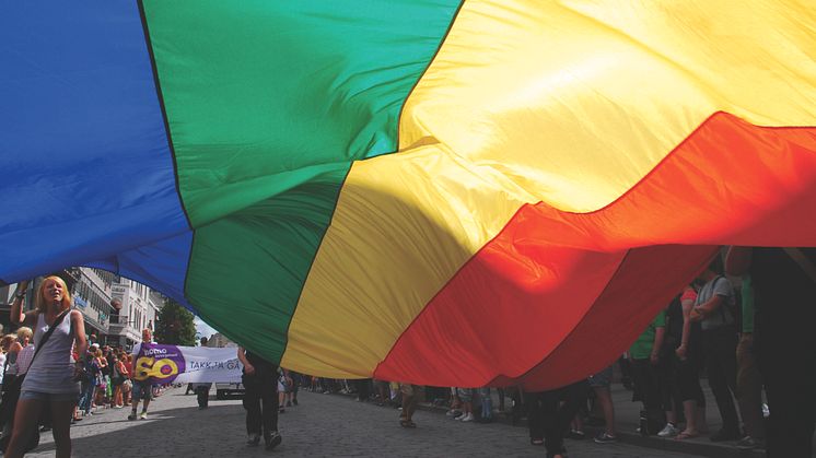 Endre Flatmo (SV) skriver om Pride og behovet for synlighet