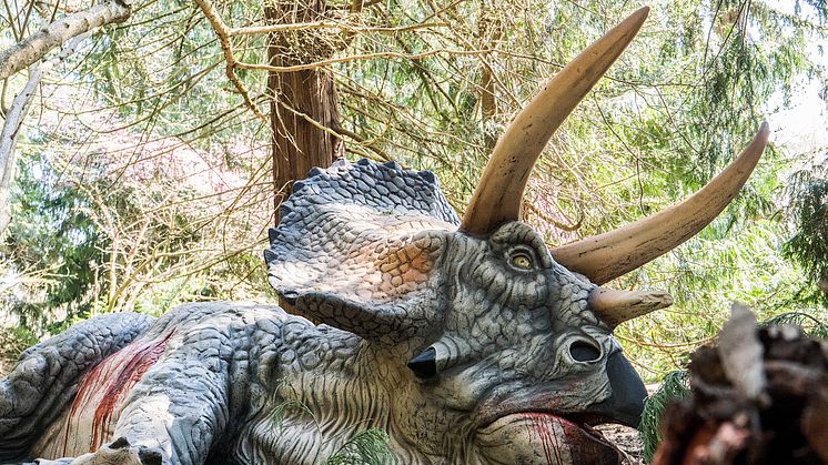Knuthenborg Safaripark:  Dinosaurier-Wald - Triceratops 