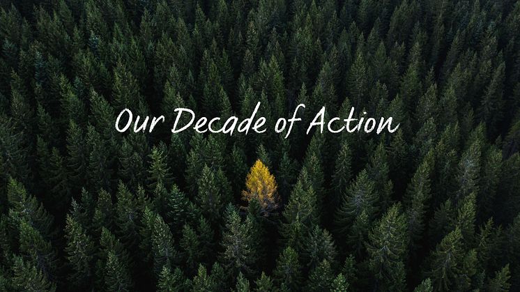 Vårt “decade of action”