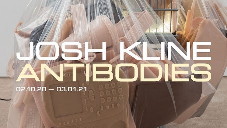 Josh Kline – Antibodies. Exhibition period 02.10.20 - 03.01.21
