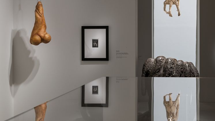 Louise Bourgeois - Imaginære samtaler - pressebilder-68