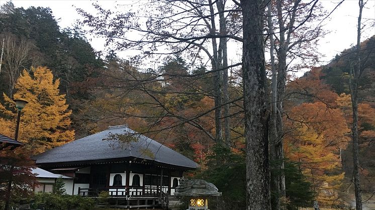 Onsenji Temple in Fall