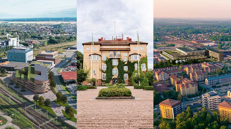På torsdag beslutar högskolestyrelsen om högskolan ska flytta till centrala Kristianstad, stanna på Näsby, eller flytta till centrala Hässleholm.