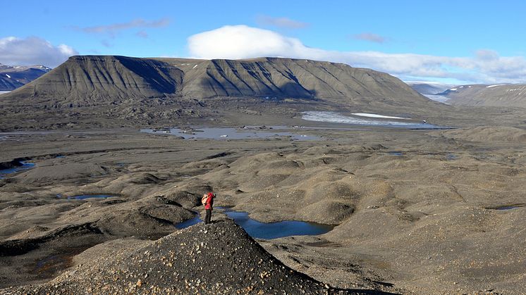 Fossil-bearing rocks on Spitsbergen 
