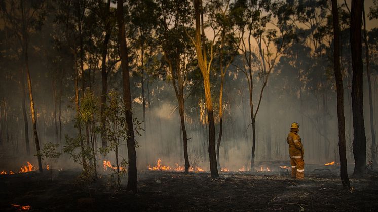 Stora arealer vinfält brunnit ner och rökskadats i Australien, vindistriktet Adelaide Hills har redan förlorat över 30% av sin produktion. 
