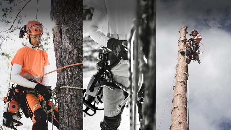 Magnus Olla – Trädfällare med fokus på detaljerna