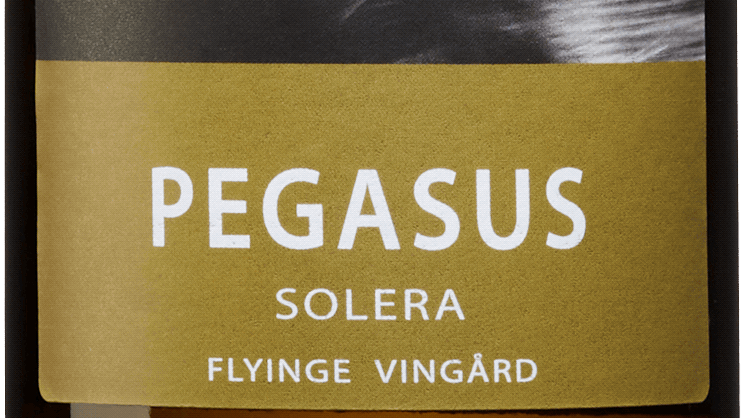 Pegasus Solera