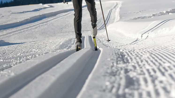Kolla snötemperaturen innan du åker ut i skidspåret. I vinter mäter vi både luft- och snötemperaturen vid några populära skidspår runt Piteå med hjälp av smarta sensorer.