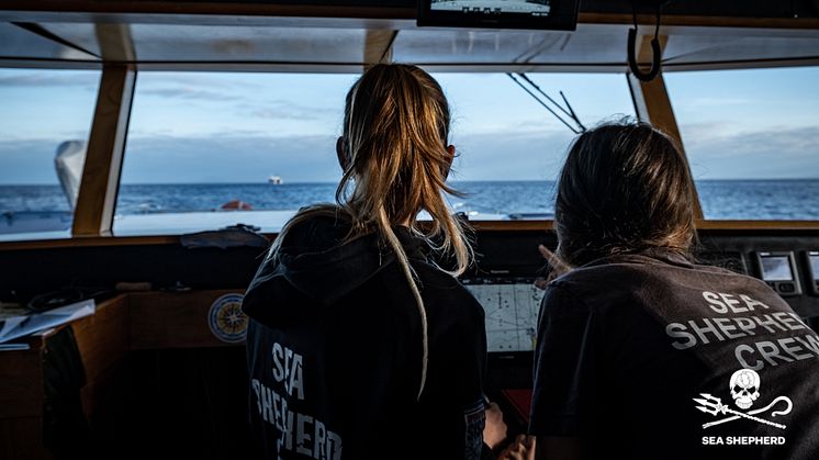 The Sea Shepherd group is an international, non-profit, direct-action organisation dedicated to the protection and conservation of marine life