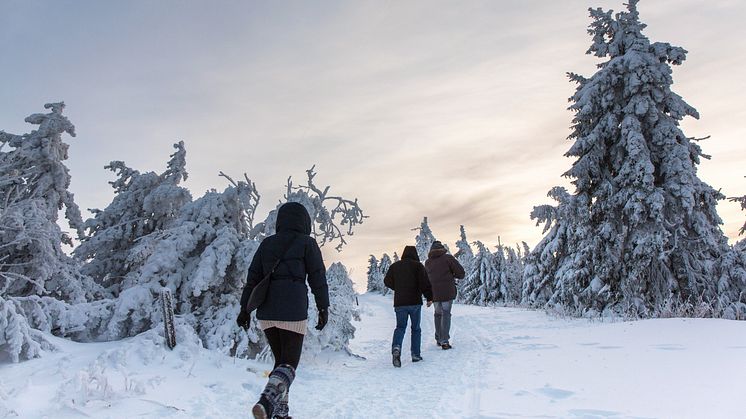 Wanderungen im Winter - ob mit oder Schnee (Foto: TVE/Bernd März)