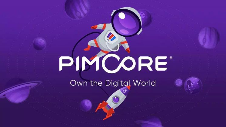 6 Schritte zur passenden Pimcore-Agentur