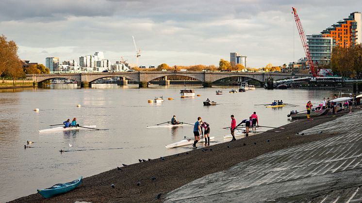 Rowers in Putney. Credit: Port of London Authority