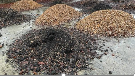 Svampkompost från champinjonodlingar rivs ut och blandas med fruktrester och träflis.